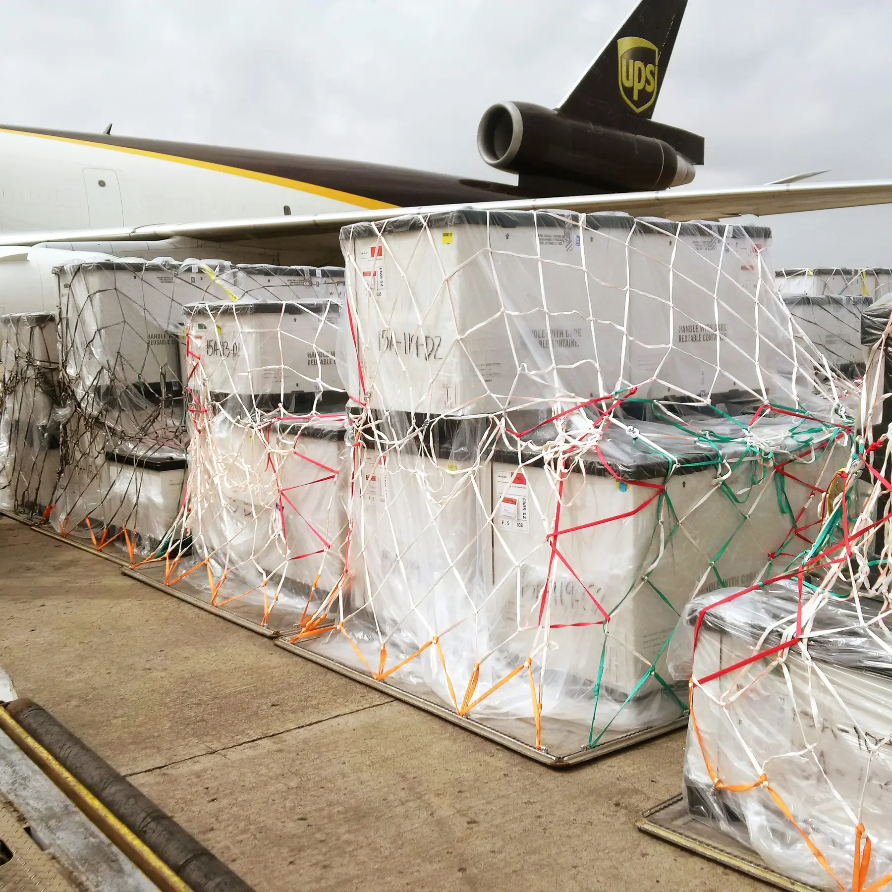 Home Air freight cargo secured in protective wrapping and netting