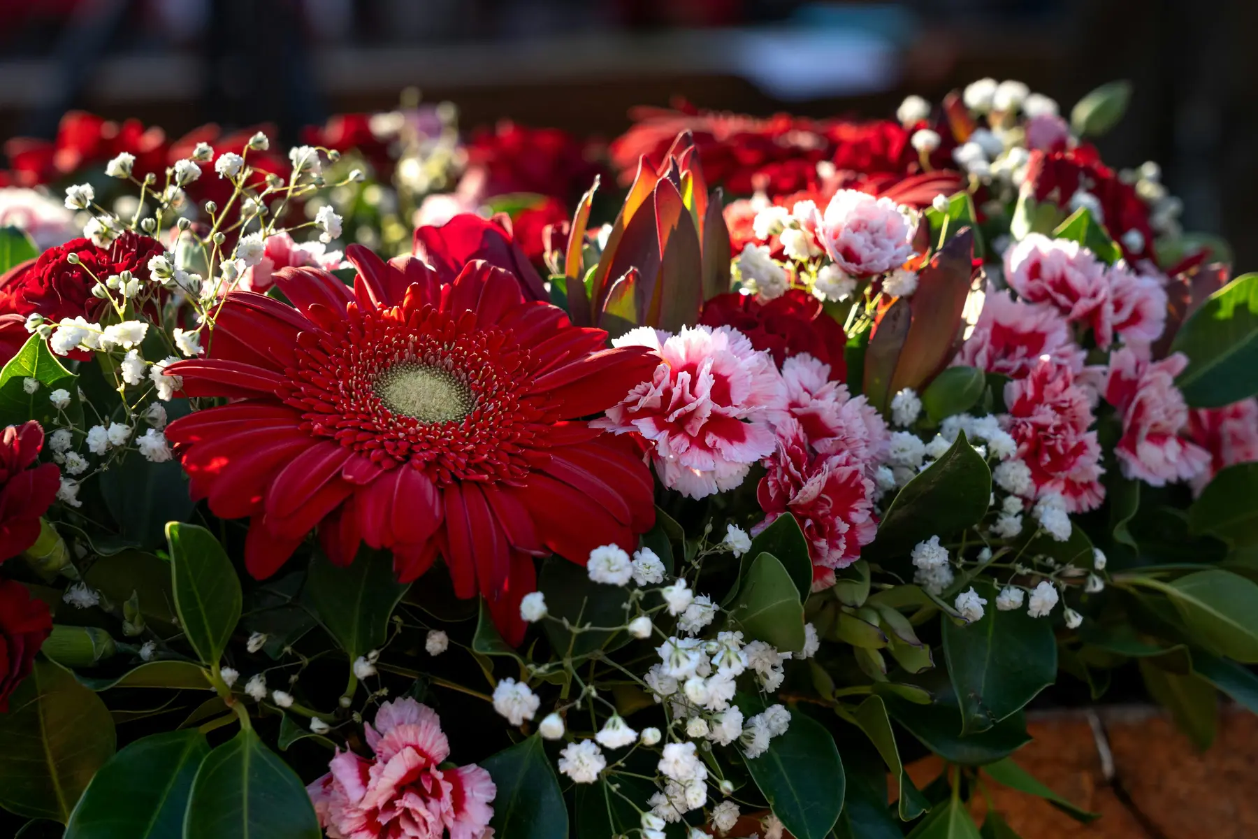 Home Dignified arrangement of red and white flowers